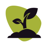 Planta Viva